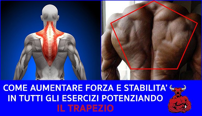 potenziare il trapezio